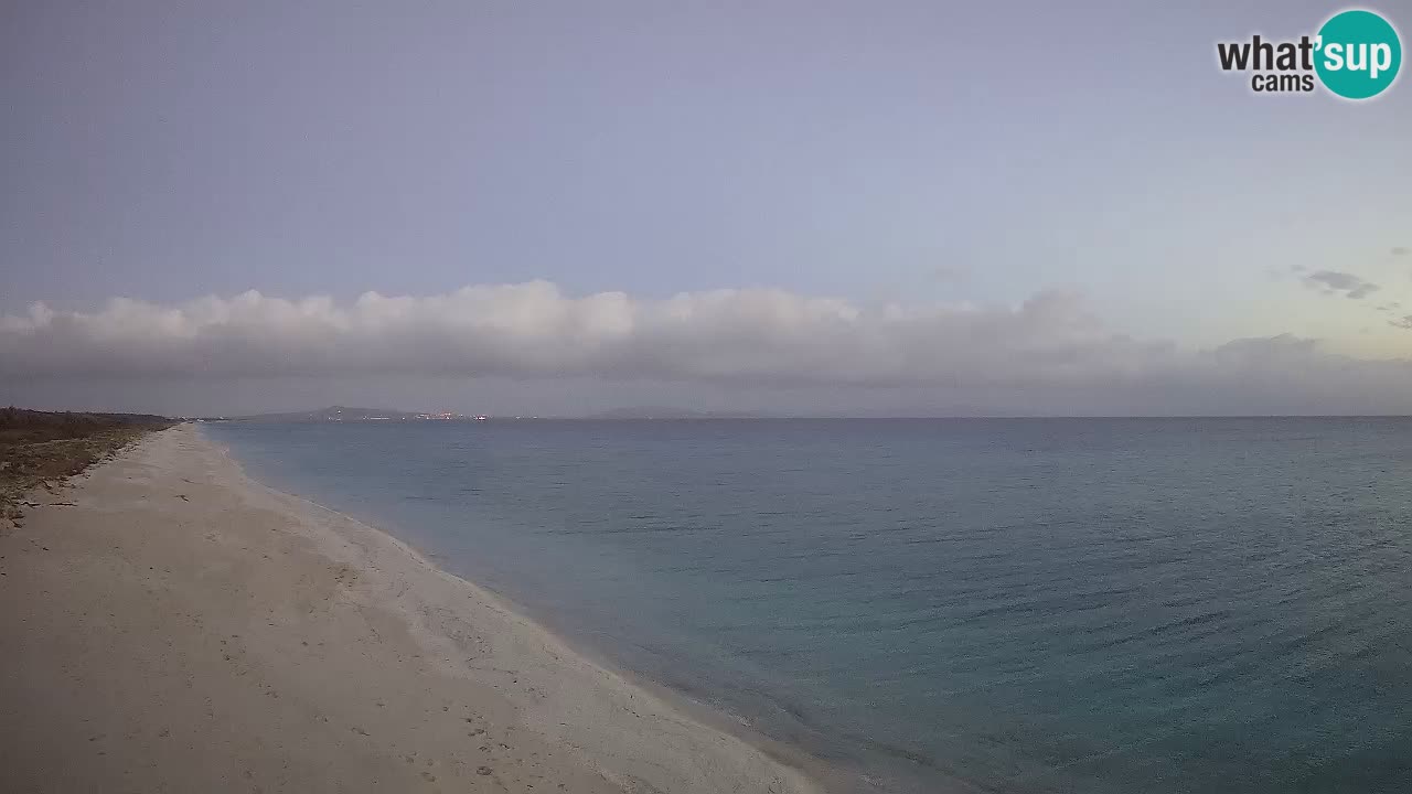 Plage Le Saline Live cam Stintino – Sardaigne