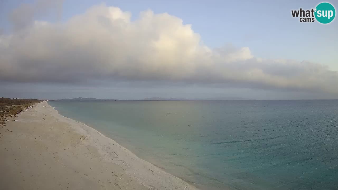 Plaža Le Saline web kamera Stintino – Sardinija