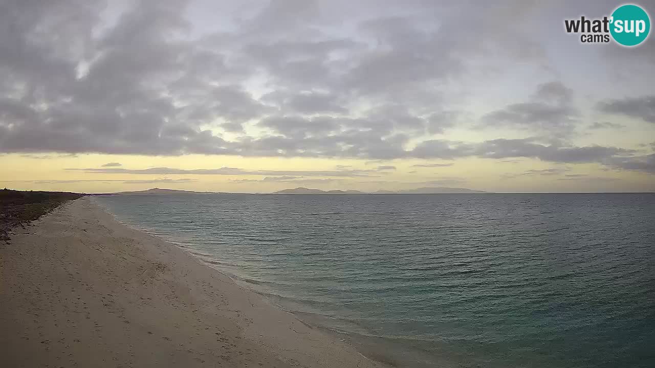 Plage Le Saline Live cam Stintino – Sardaigne