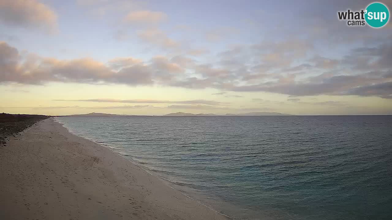 Plaža Le Saline spletna kamera Stintino – Sardinija