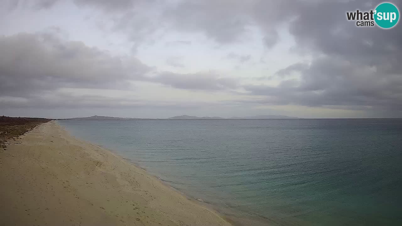 Plage Le Saline Live cam Stintino – Sardaigne