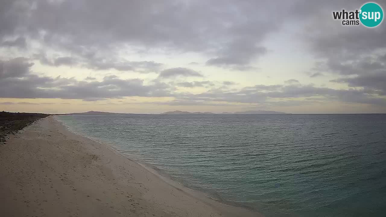 Playa Le Saline camera en vivo Stintino – Cerdeña