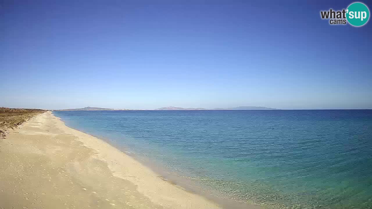 Plage Le Saline Live cam Stintino – Sardaigne