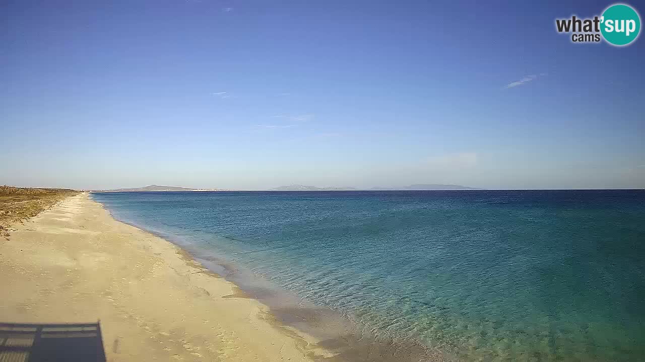 Plaža Le Saline spletna kamera Stintino – Sardinija