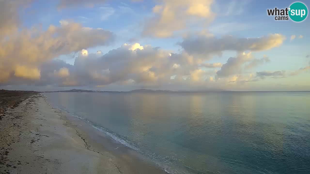 Plaža Le Saline spletna kamera Stintino – Sardinija