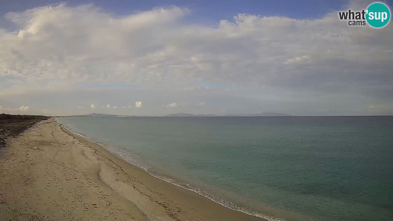 Plaža Le Saline web kamera Stintino – Sardinija