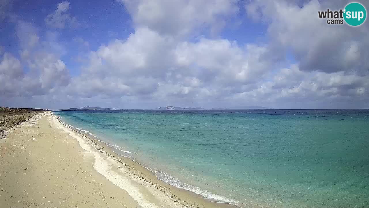 Strand Le Saline webcam Stintino – Sardinien