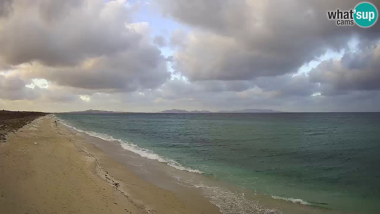 Plage Le Saline Live cam Stintino – Sardaigne