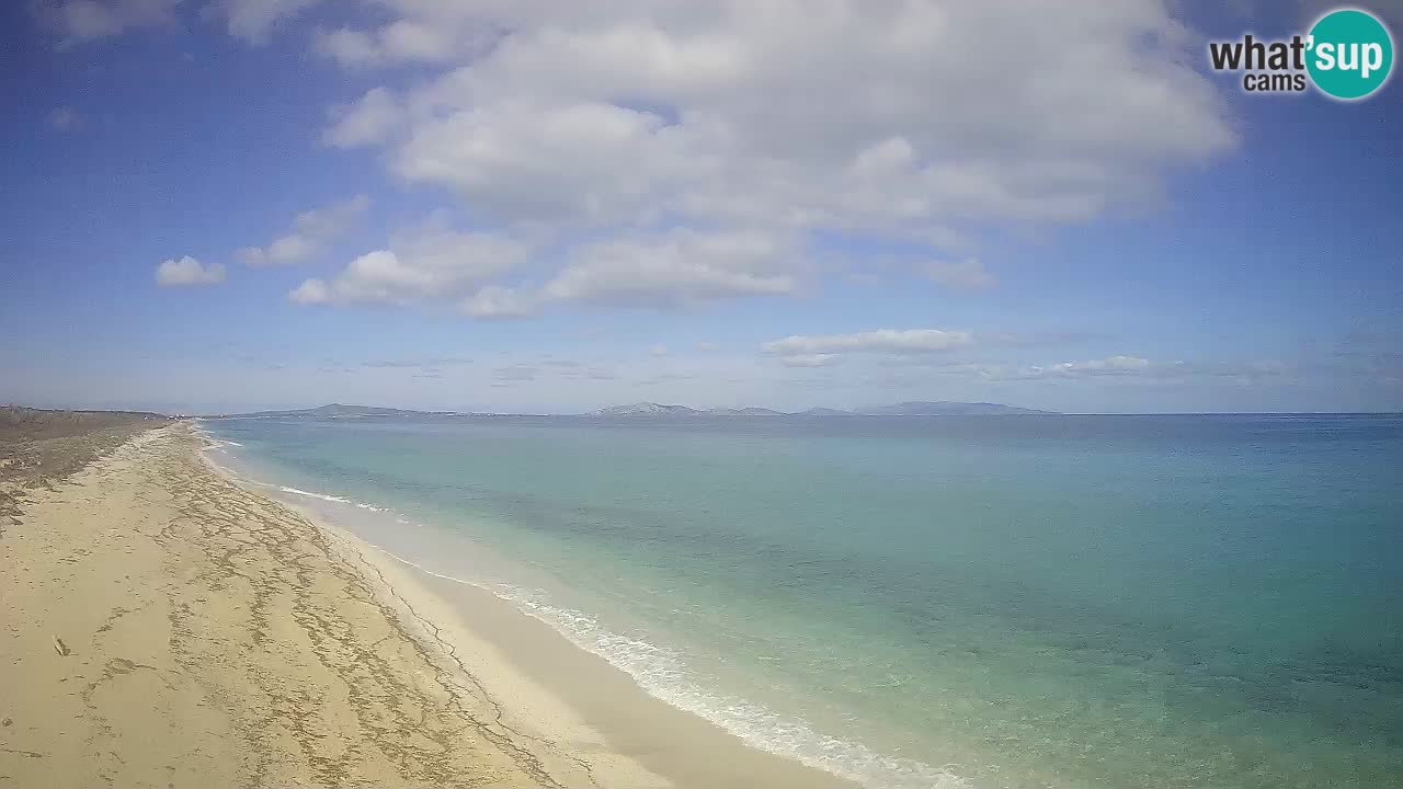 Beach Le Saline webcam live Stintino – Sardinia