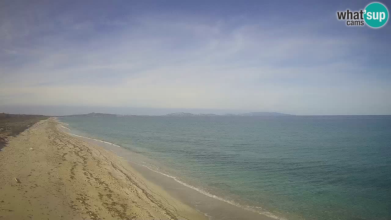 Beach Le Saline webcam live Stintino – Sardinia