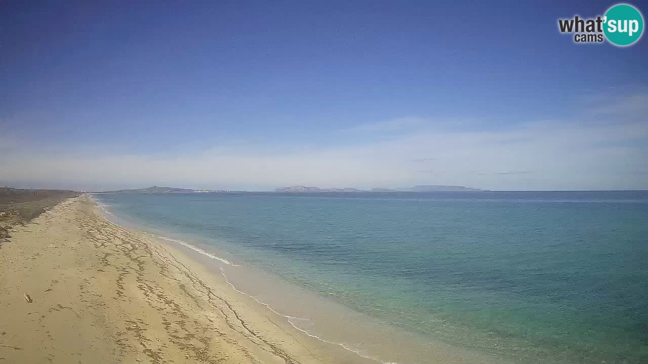 Plage Le Saline Live cam Stintino – Sardaigne