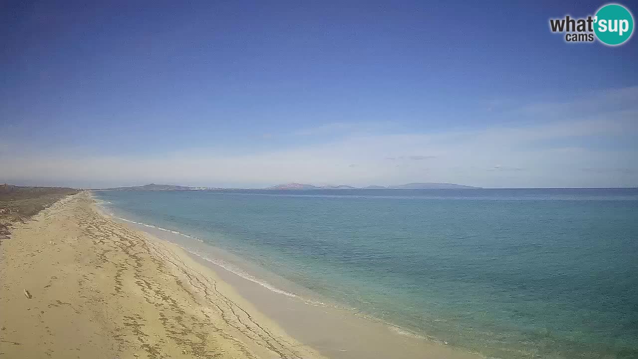 Plaža Le Saline spletna kamera Stintino – Sardinija