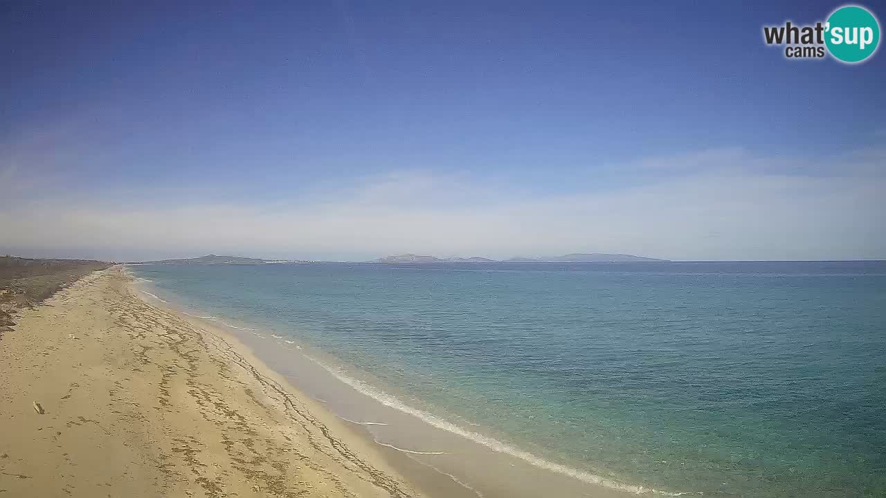 Plaža Le Saline web kamera Stintino – Sardinija