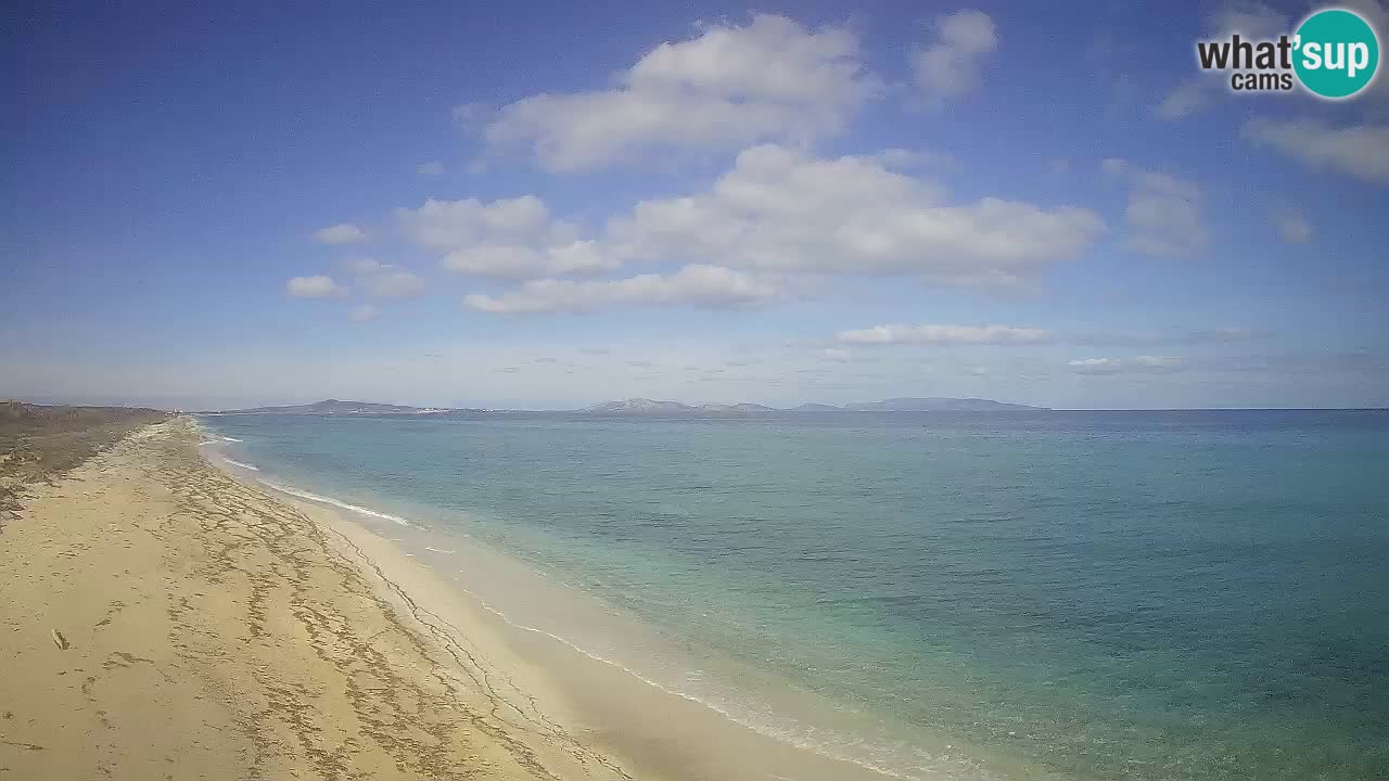 Plage Le Saline Live cam Stintino – Sardaigne