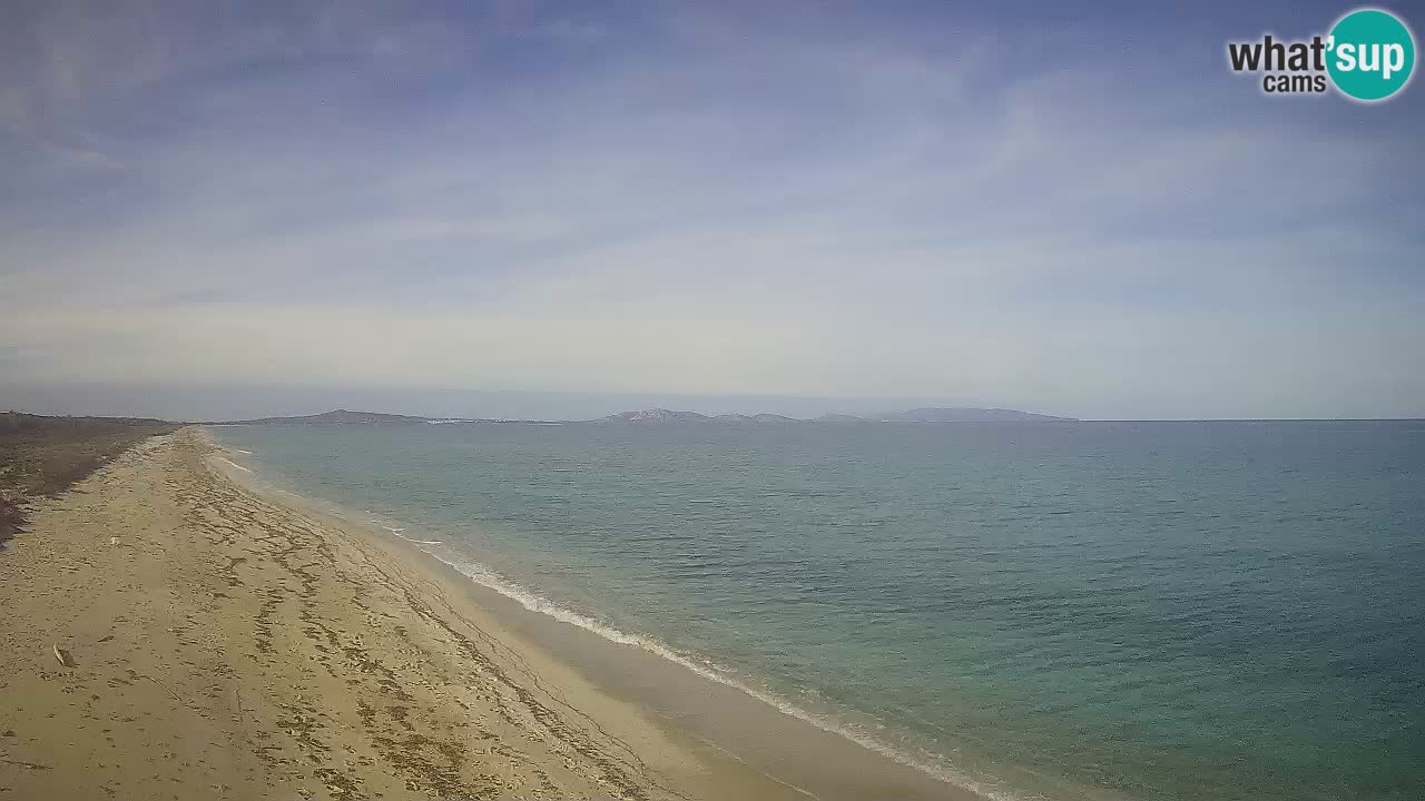 Spiaggia Le Saline webcam Stintino – Sardegna