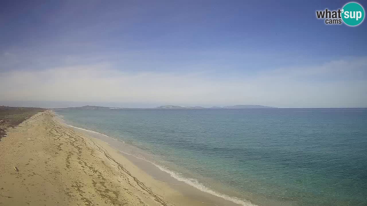 Plaža Le Saline web kamera Stintino – Sardinija