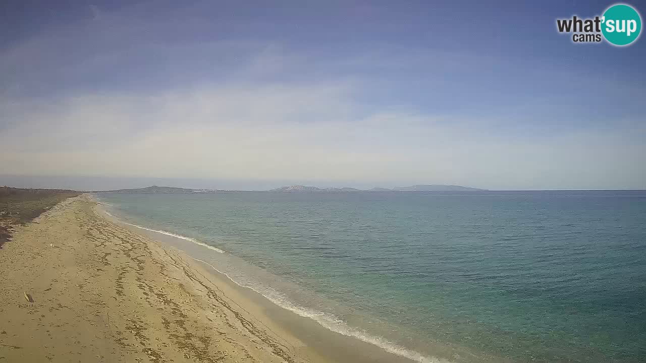 Plaža Le Saline spletna kamera Stintino – Sardinija