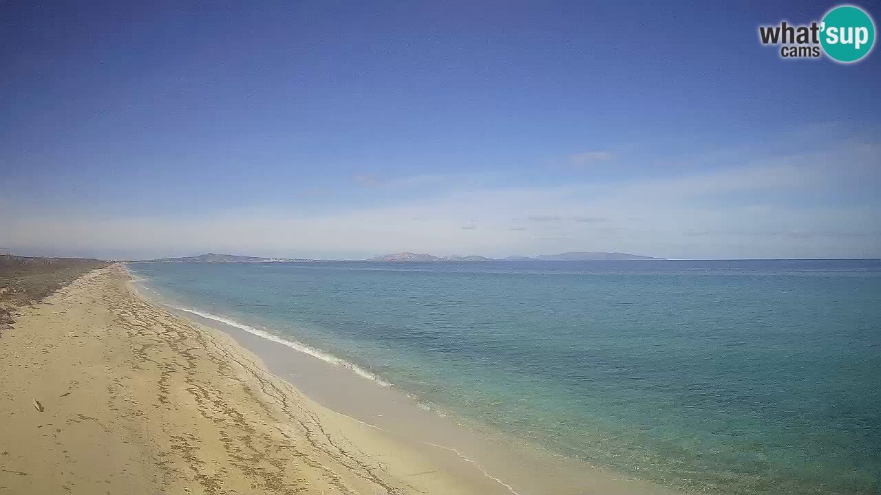 Playa Le Saline camera en vivo Stintino – Cerdeña