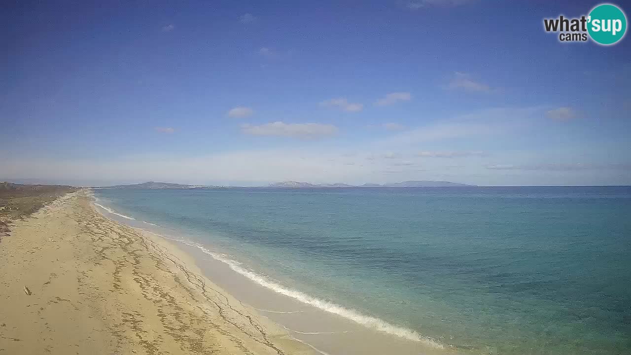 Strand Le Saline webcam Stintino – Sardinien