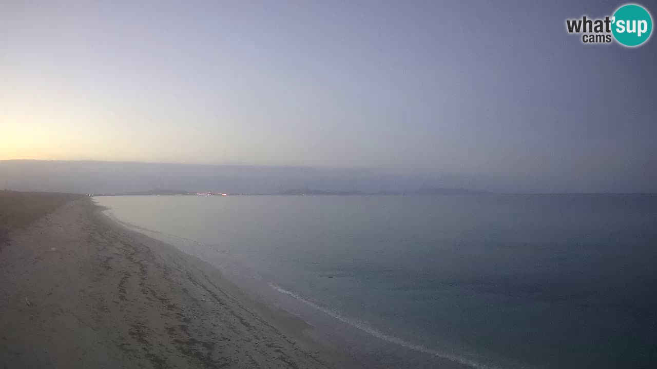 Plaža Le Saline spletna kamera Stintino – Sardinija