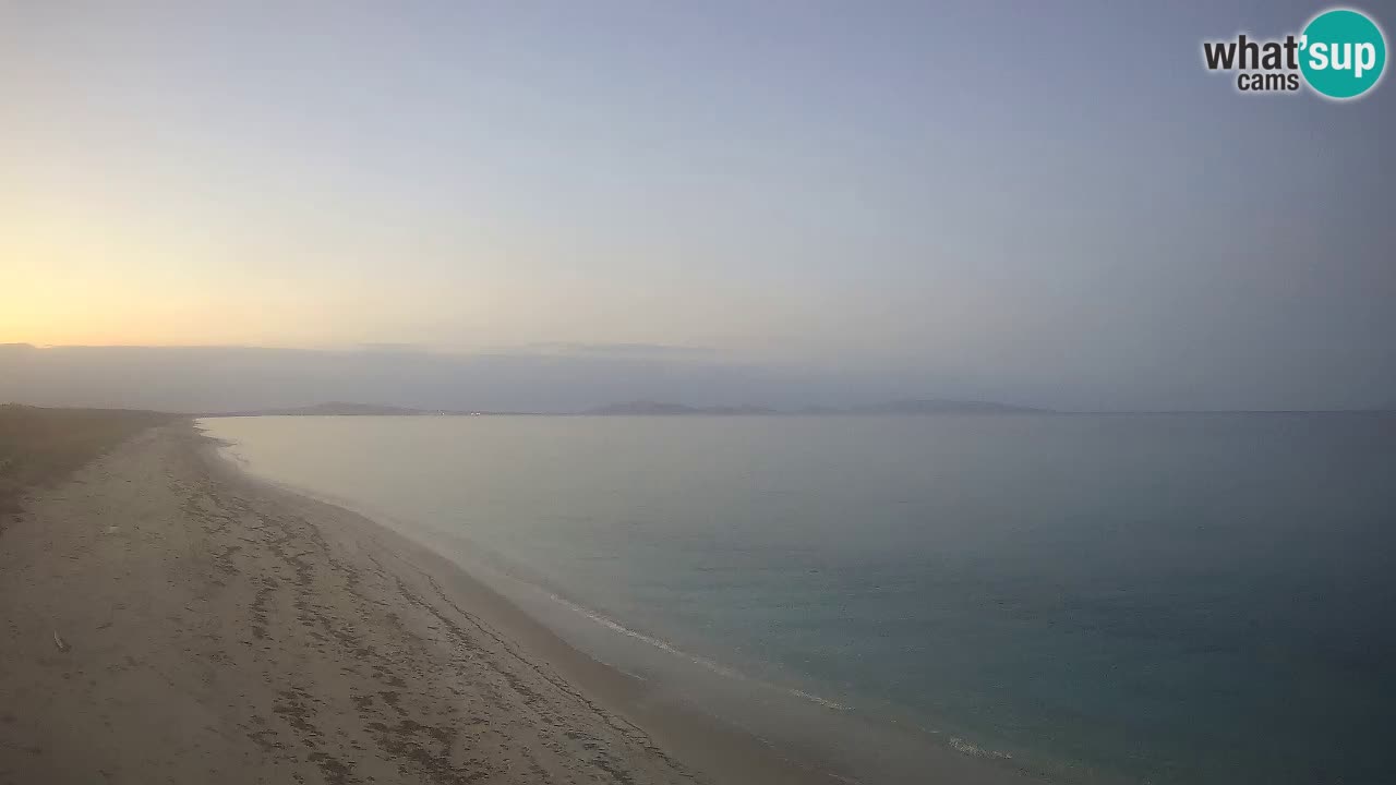 Plage Le Saline Live cam Stintino – Sardaigne