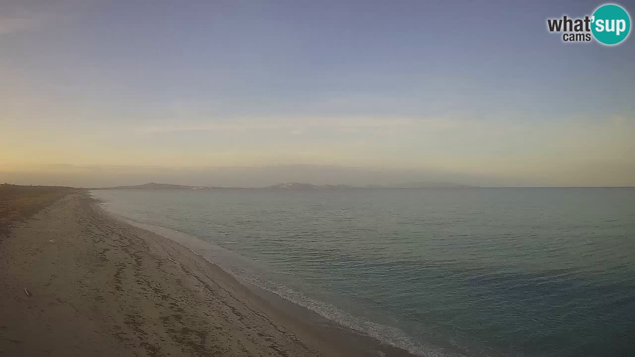 Plaža Le Saline spletna kamera Stintino – Sardinija