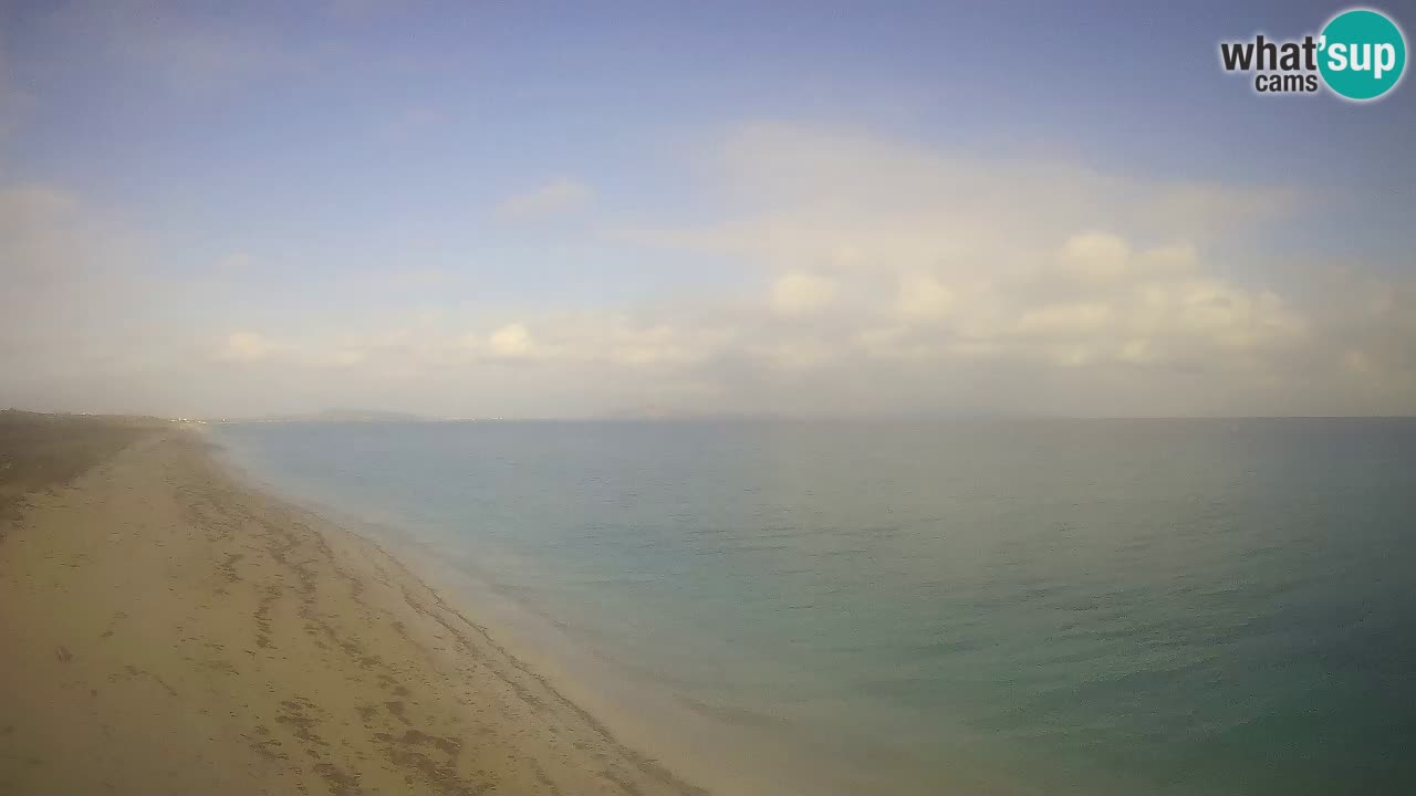 Spiaggia Le Saline webcam Stintino – Sardegna