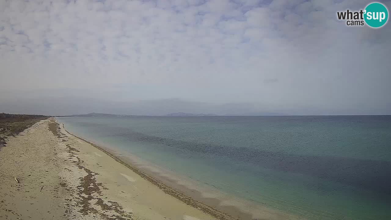 Playa Le Saline camera en vivo Stintino – Cerdeña