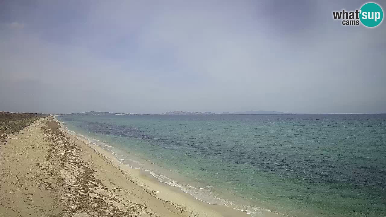 Plaža Le Saline web kamera Stintino – Sardinija