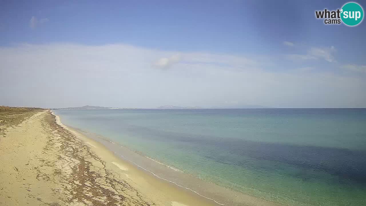 Plaža Le Saline spletna kamera Stintino – Sardinija