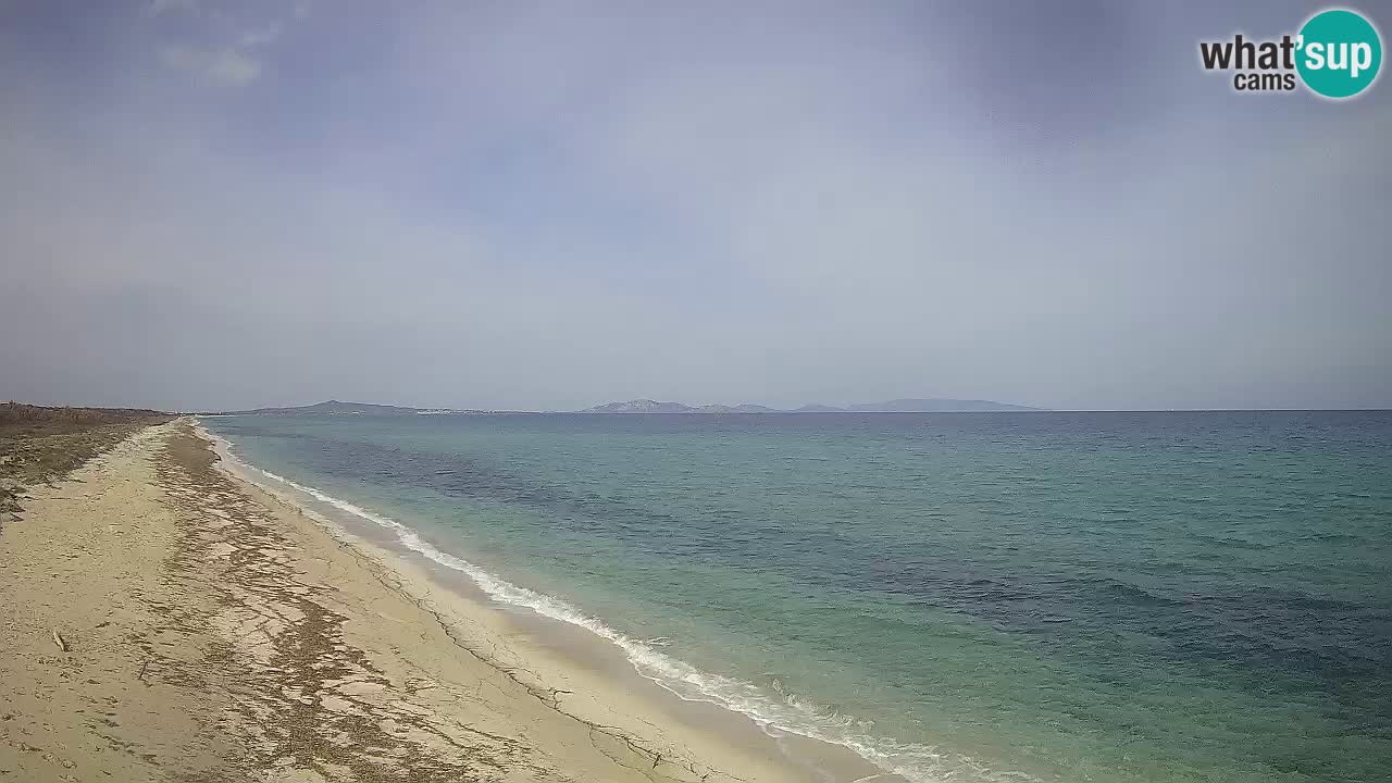 Plaža Le Saline spletna kamera Stintino – Sardinija