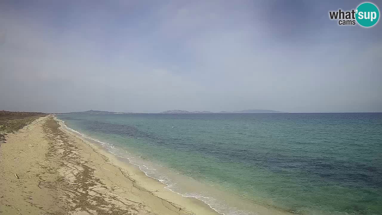 Beach Le Saline webcam live Stintino – Sardinia