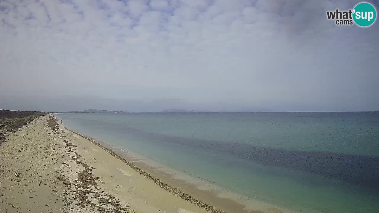 Spiaggia Le Saline webcam Stintino – Sardegna