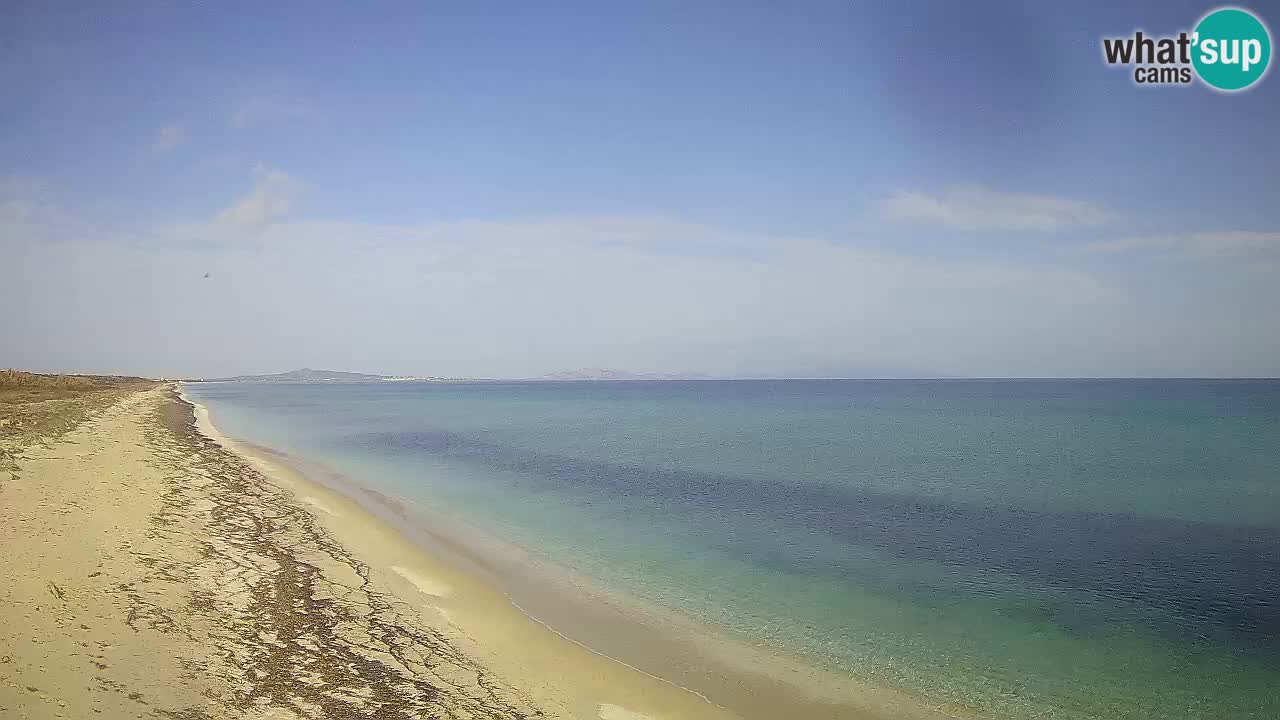 Beach Le Saline webcam live Stintino – Sardinia