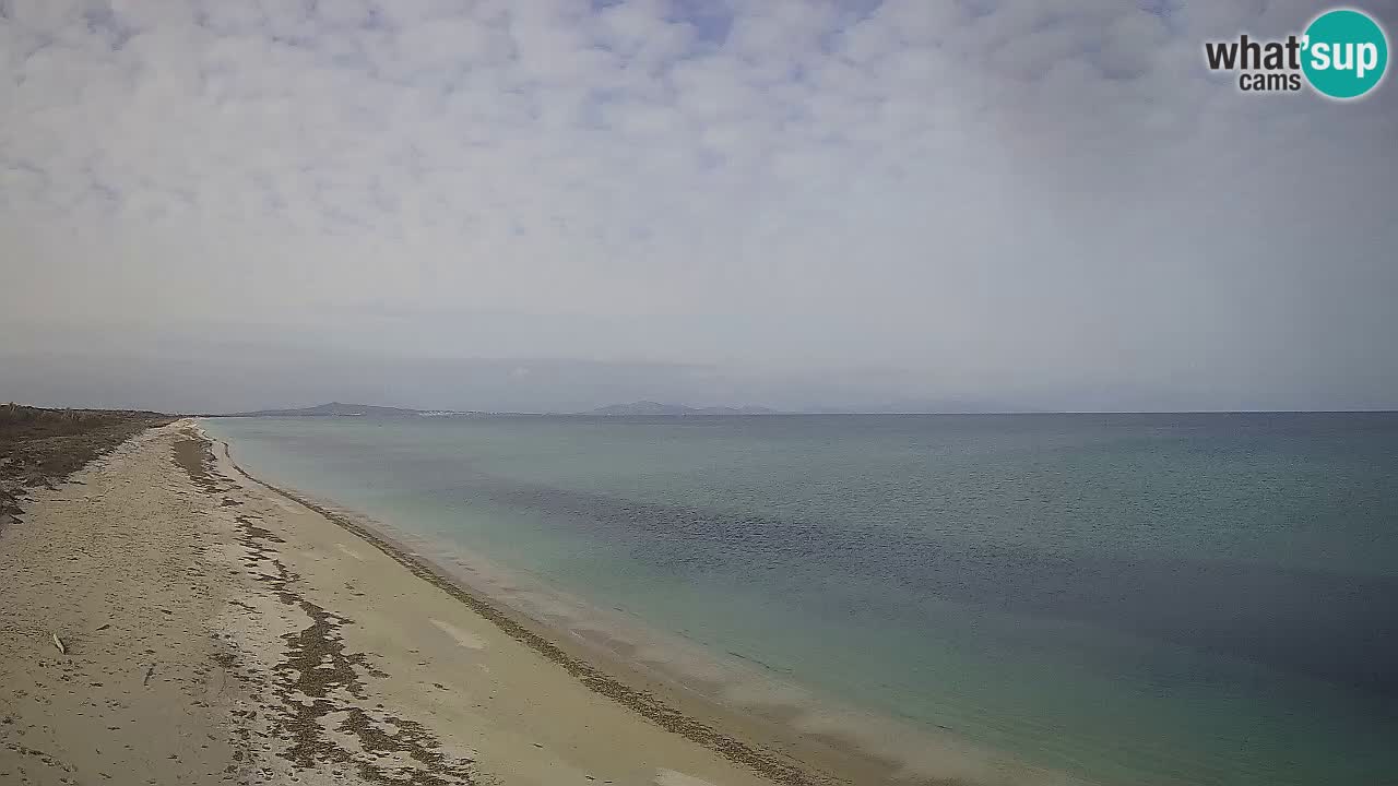 Strand Le Saline webcam Stintino – Sardinien