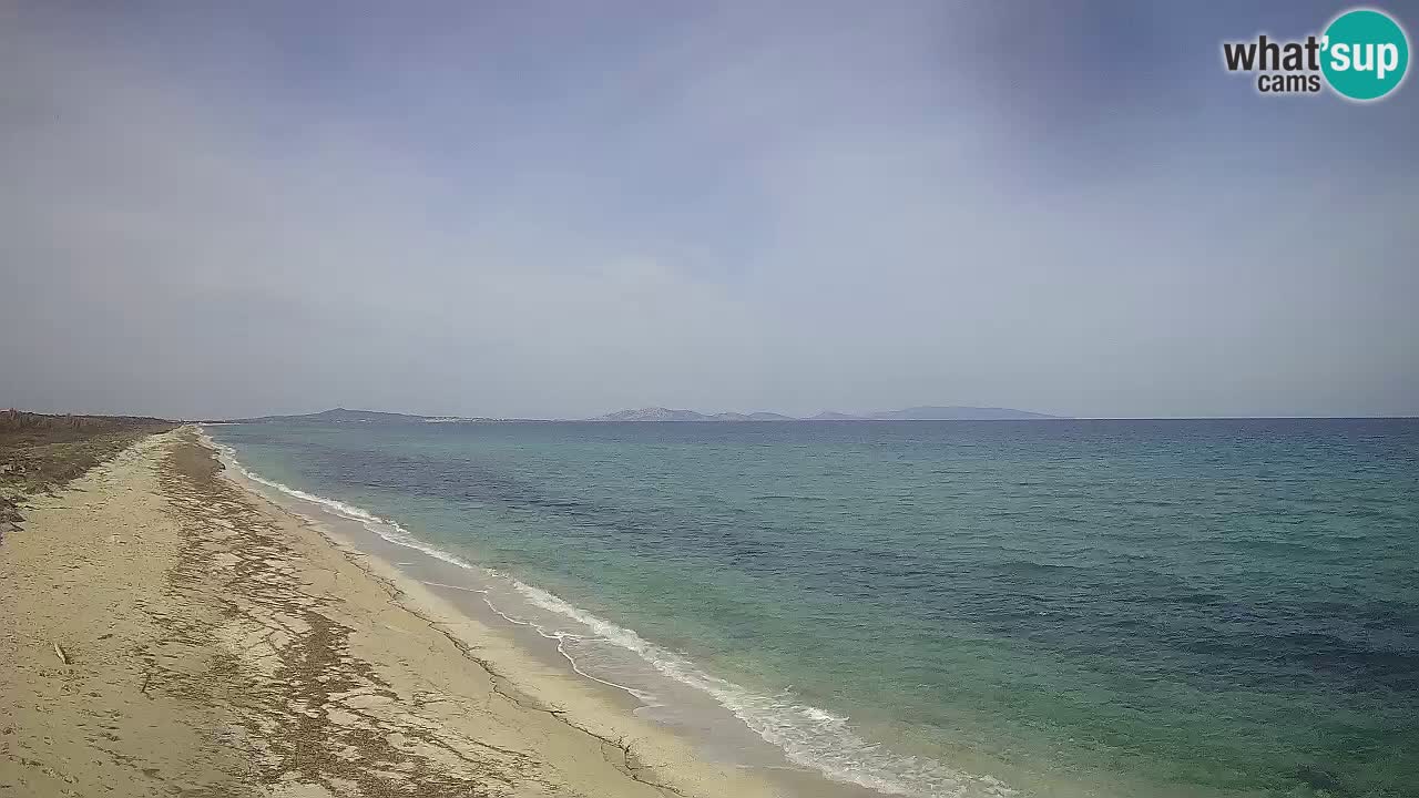 Strand Le Saline webcam Stintino – Sardinien