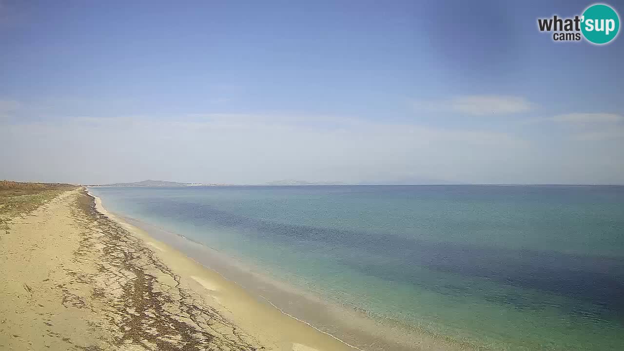 Plaža Le Saline web kamera Stintino – Sardinija