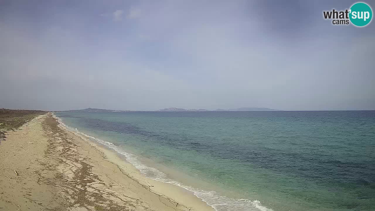 Plaža Le Saline spletna kamera Stintino – Sardinija