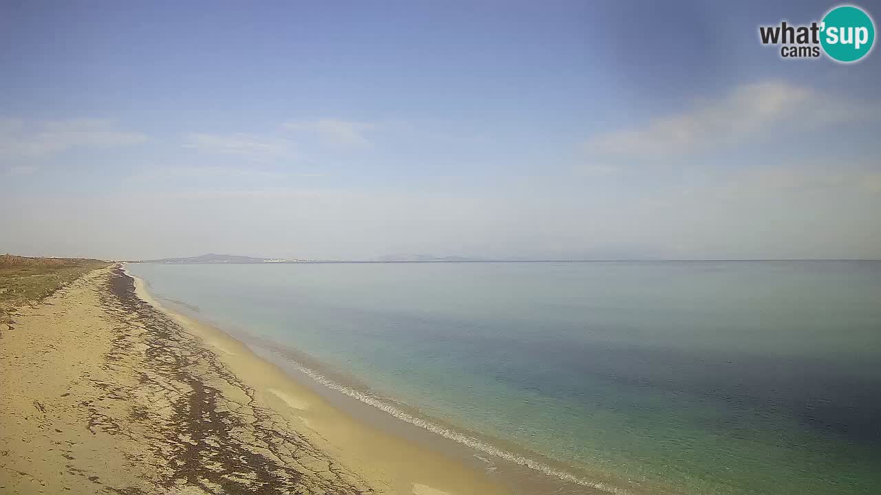 Strand Le Saline webcam Stintino – Sardinien