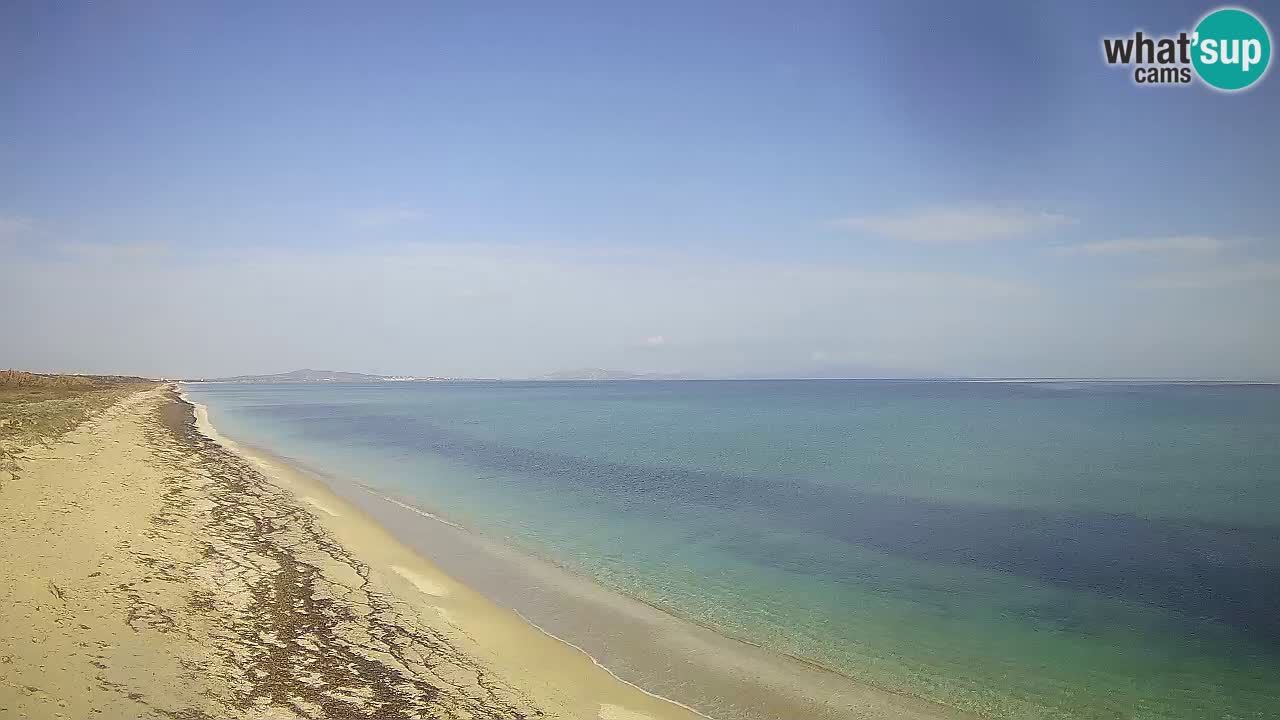 Plaža Le Saline spletna kamera Stintino – Sardinija