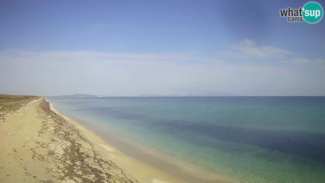 Plaža Le Saline web kamera Stintino – Sardinija