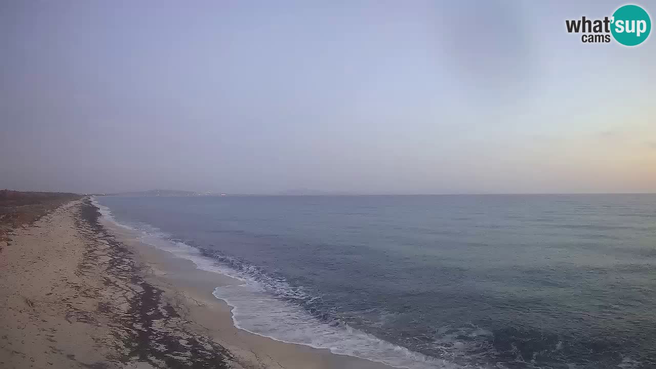 Beach Le Saline webcam live Stintino – Sardinia