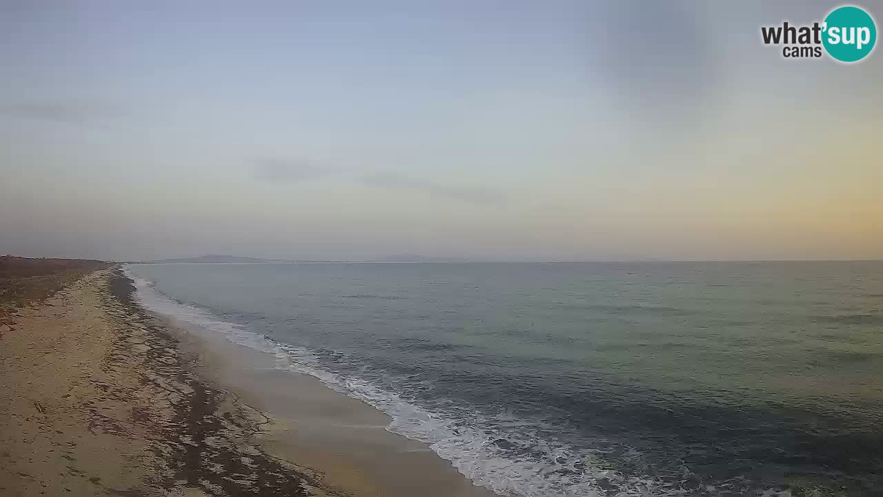 Beach Le Saline webcam live Stintino – Sardinia