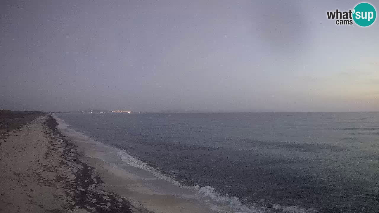 Playa Le Saline camera en vivo Stintino – Cerdeña