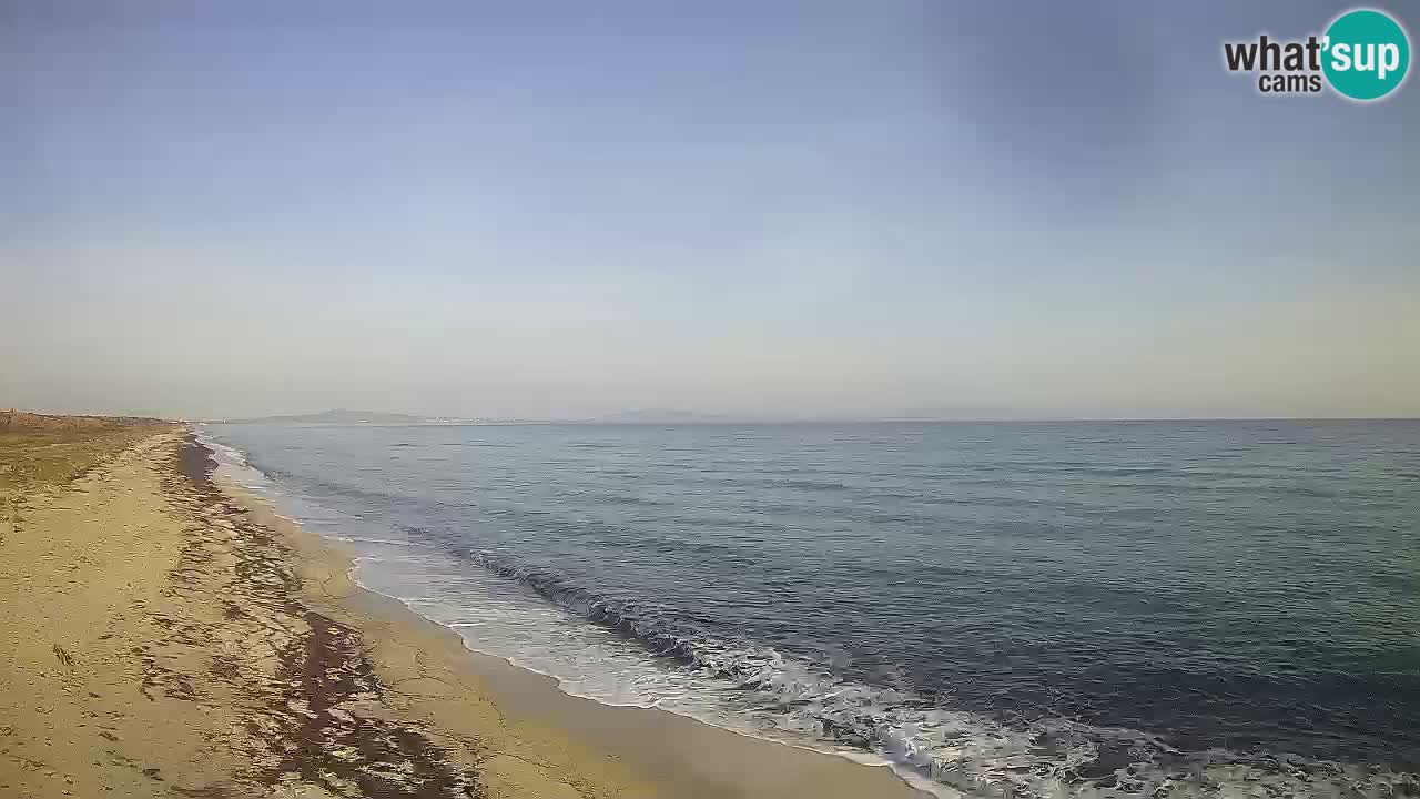 Playa Le Saline camera en vivo Stintino – Cerdeña