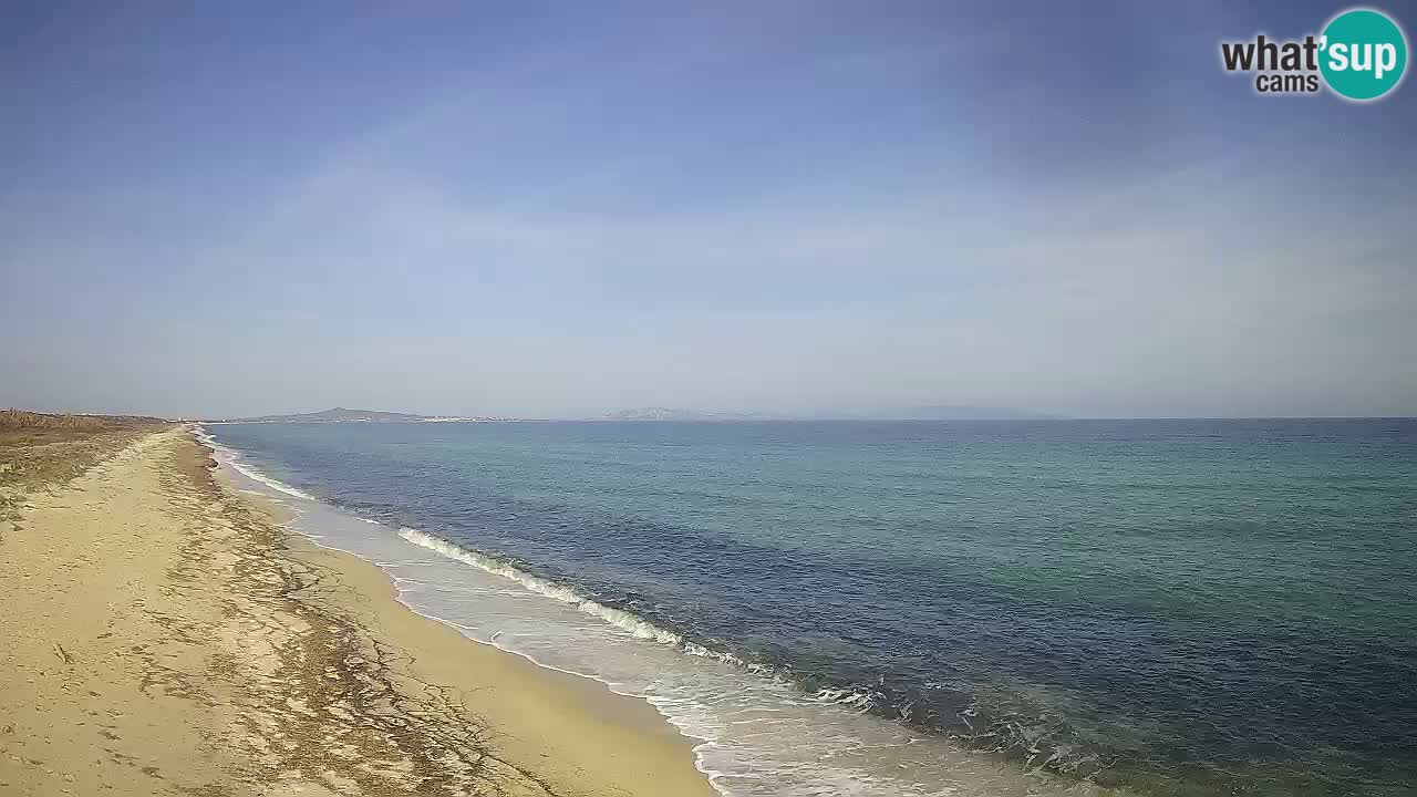 Plaža Le Saline spletna kamera Stintino – Sardinija