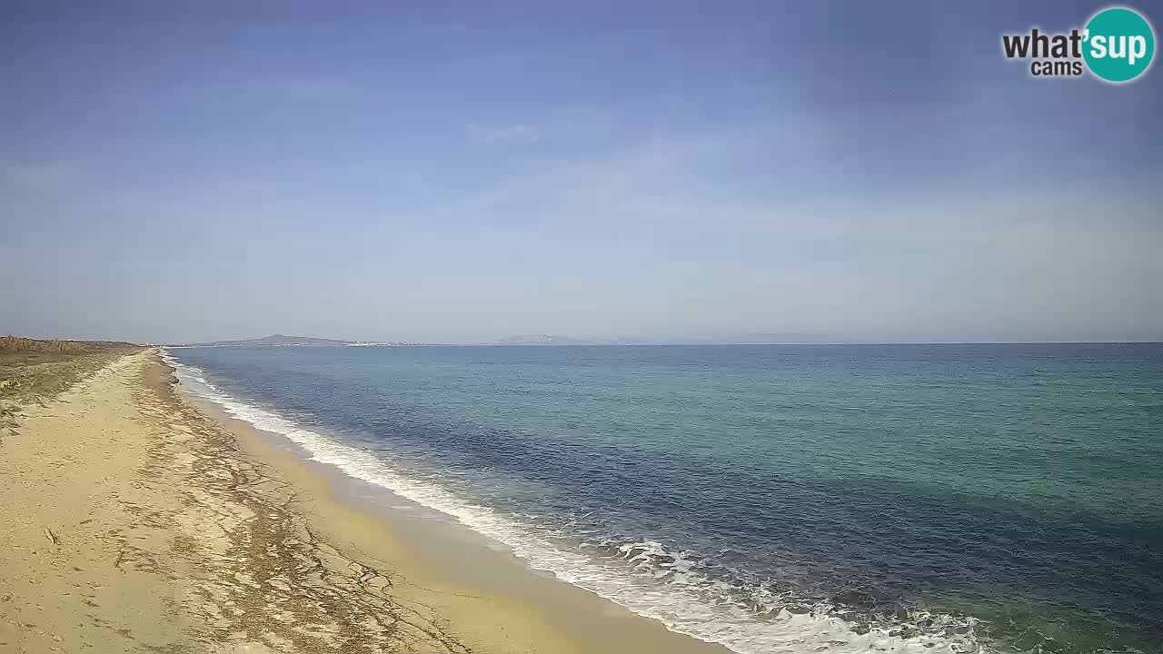 Plaža Le Saline spletna kamera Stintino – Sardinija