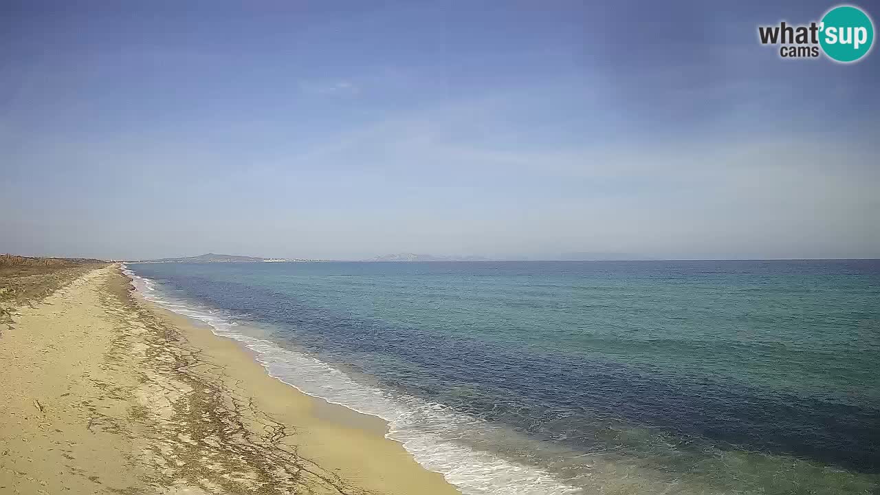 Beach Le Saline webcam live Stintino – Sardinia