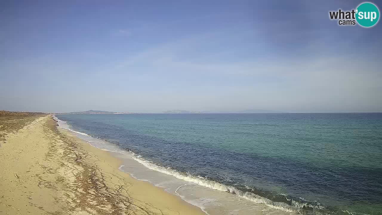 Spiaggia Le Saline webcam Stintino – Sardegna