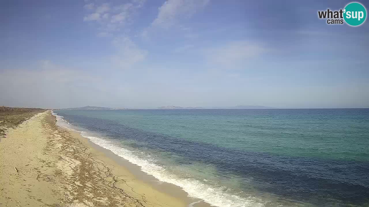 Beach Le Saline webcam live Stintino – Sardinia